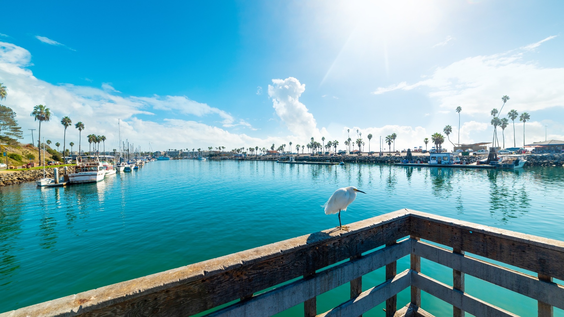 Harbor with boats and a bird on a railing